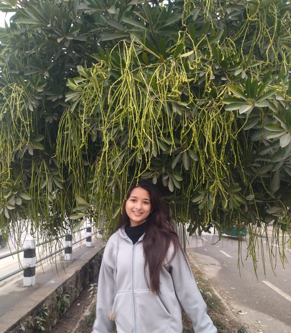 Apikshya Shrestha